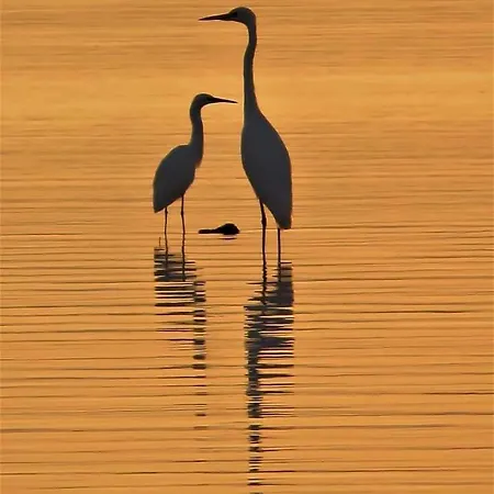 Tratturo Dei Greci, Biocasa * Lesina