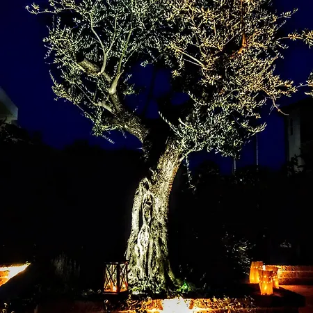 Tratturo Dei Greci, Biocasa Ferienhaus Lesina