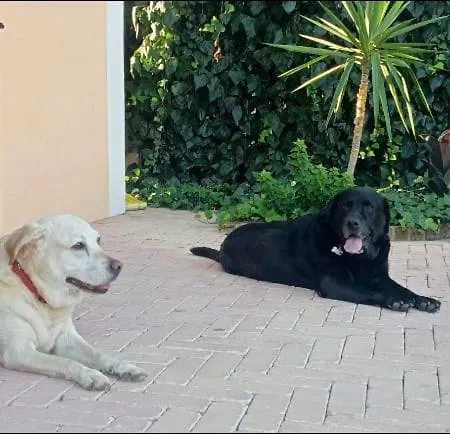Tratturo Dei Greci, Biocasa Ferienhaus Lesina